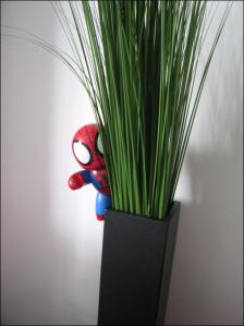 Spidey Wastes No Time In Exploring His New Home